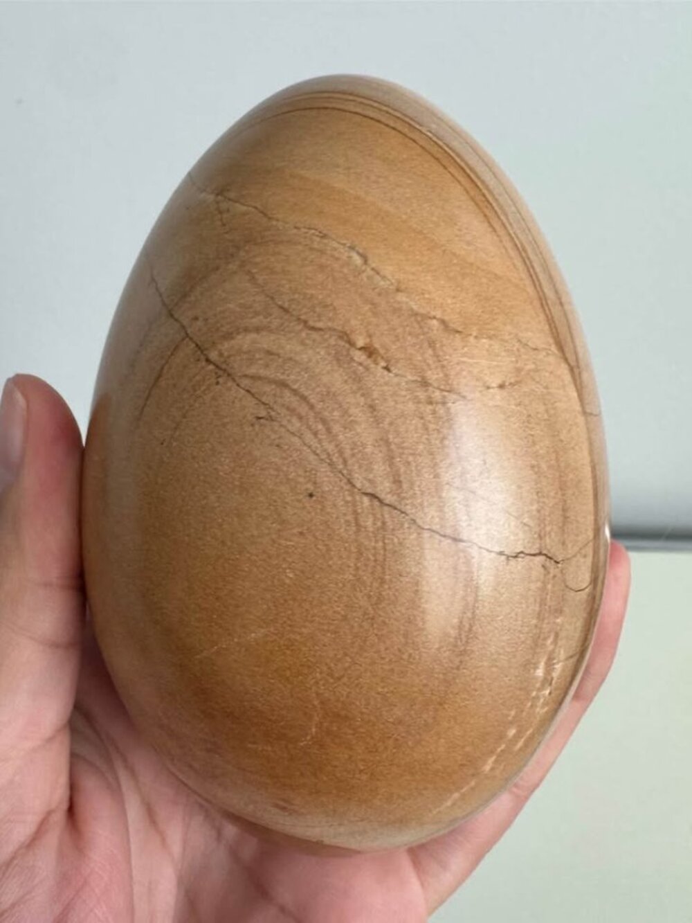 Vintage Heavy Wood Grain Egg Decorative Accent Paperweight